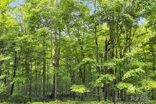 65 Bee Tree Ln, Mars Hill, NC 28754 - Photo 9