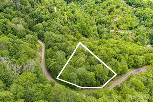 65 Bee Tree Ln, Mars Hill, NC 28754 - Photo 5