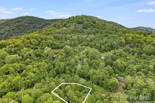 65 Bee Tree Ln, Mars Hill, NC 28754 - Photo 11