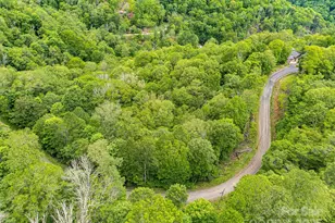 65 Bee Tree Ln, Mars Hill, NC 28754 - Photo 7