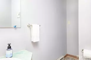 269 Johnson Dairy Rd, Mooresville, NC 28115 - Photo 25