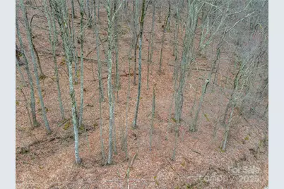 00 Chestnut Lane #100, Mars Hill, NC 28754 - Photo 5