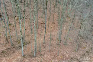 00 Chestnut Ln, Mars Hill, NC 28754 - Photo 5