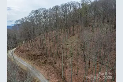 00 Chestnut Lane #100, Mars Hill, NC 28754 - Photo 3