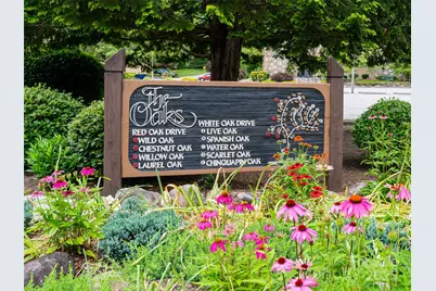 502 Spanish Oak Lane, Hendersonville, NC 28791 - Photo 33