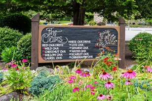 502 Spanish Oak Ln, Hendersonville, NC 28791 - Photo 33