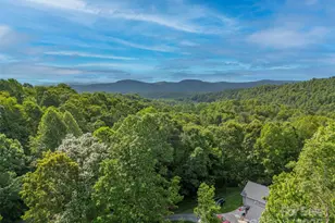 2 Candlestick Dr, Zirconia, NC 28790 - Photo 47