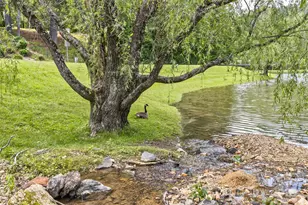 25 Windsong Dr, Fairview, NC 28730 - Photo 43