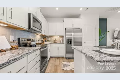 10219 Guardian Drive #Polomino, Charlotte, NC 28273 - Photo 11