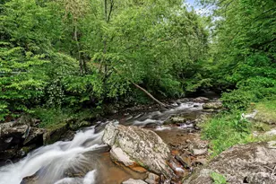 14518 Big Laurel Rd, Mars Hill, NC 28754 - Photo 3