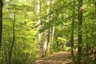 118 Kerr Walk Dr, Statesville, NC 28677 - Photo 31