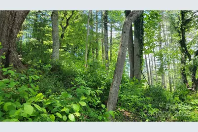 51 Barebridge Fields Road #51, Burnsville, NC 2874 - Photo 9