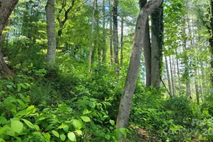 51 Barebridge Fields Rd, Burnsville, NC 2874 - Photo 9