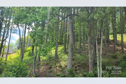 51 Barebridge Fields Road #51, Burnsville, NC 2874 - Photo 19