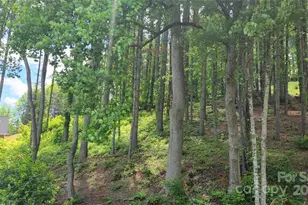 51 Barebridge Fields Rd, Burnsville, NC 2874 - Photo 19