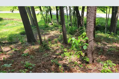 51 Barebridge Fields Road #51, Burnsville, NC 2874 - Photo 13