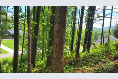 51 Barebridge Fields Road #51, Burnsville, NC 2874 - Photo 3