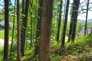 51 Barebridge Fields Rd, Burnsville, NC 2874 - Photo 3