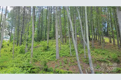 51 Barebridge Fields Road #51, Burnsville, NC 2874 - Photo 17