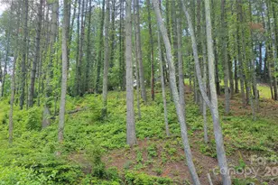 51 Barebridge Fields Rd, Burnsville, NC 2874 - Photo 17