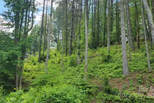 51 Barebridge Fields Rd, Burnsville, NC 2874 - Photo 15