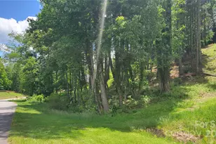 51 Barebridge Fields Rd, Burnsville, NC 2874 - Photo 21