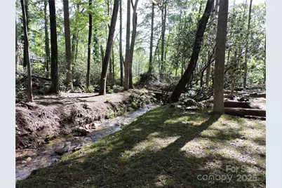 0 Swiss Pine Lake Drive, Spruce Pine, NC 28777 - Photo 27