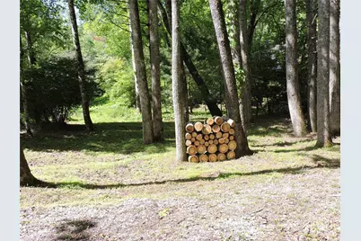 0 Swiss Pine Lake Drive, Spruce Pine, NC 28777 - Photo 31