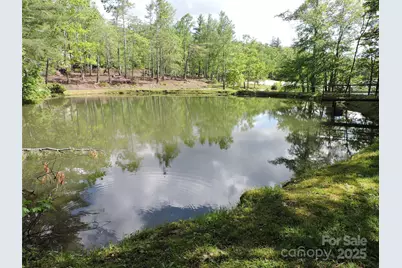 0 Swiss Pine Lake Drive, Spruce Pine, NC 28777 - Photo 15