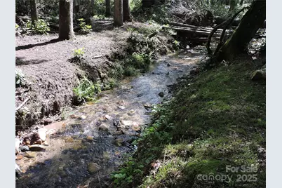 0 Swiss Pine Lake Drive, Spruce Pine, NC 28777 - Photo 29