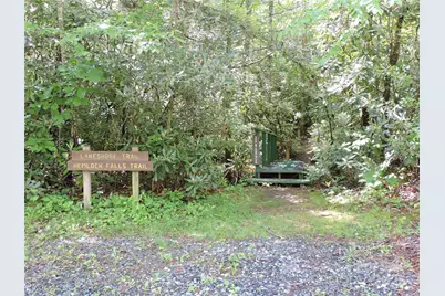 0 Swiss Pine Lake Drive, Spruce Pine, NC 28777 - Photo 19