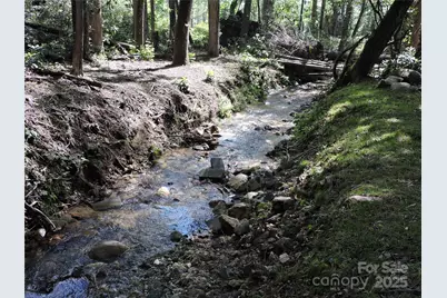 0 Swiss Pine Lake Drive, Spruce Pine, NC 28777 - Photo 21