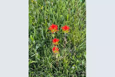 143 Daniel Boone Trail, Burnsville, NC 28714 - Photo 25