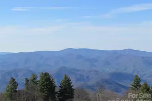 143 Daniel Boone Trl, Burnsville, NC 28714 - Photo 23