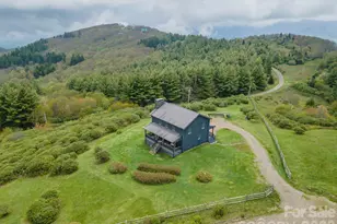 143 Daniel Boone Trl, Burnsville, NC 28714 - Photo 3