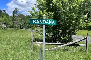 611 Johnson Hollow Rd, Bakersville, NC 28705 - Photo 43