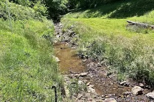 611 Johnson Hollow Rd, Bakersville, NC 28705 - Photo 19