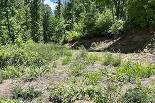 611 Johnson Hollow Rd, Bakersville, NC 28705 - Photo 29