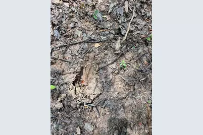 611 Johnson Hollow Road, Bakersville, NC 28705 - Photo 35