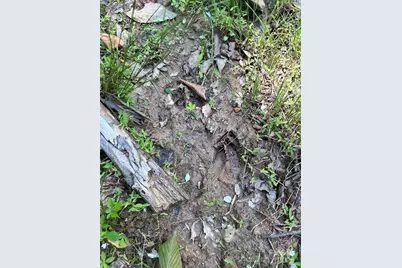 611 Johnson Hollow Road, Bakersville, NC 28705 - Photo 31