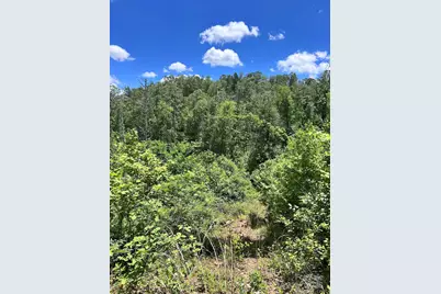 611 Johnson Hollow Road, Bakersville, NC 28705 - Photo 33