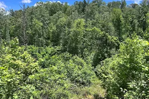 611 Johnson Hollow Rd, Bakersville, NC 28705 - Photo 33