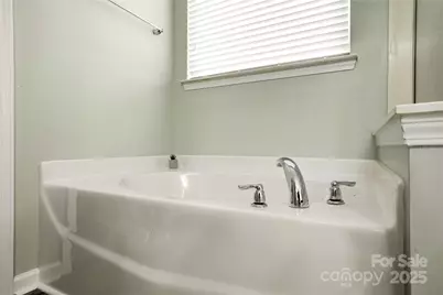 6038 Durango Way, Denver, NC 28037 - Photo 19