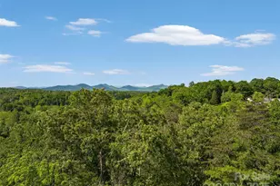 144 Pinebrook Rd, Asheville, NC 28804 - Photo 1