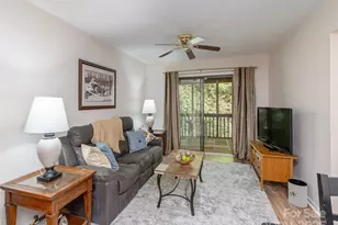 55 Lake Dr, Laurel Park, NC 28739 - Photo 3