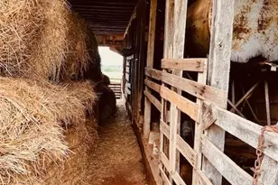 6714 Old Shelby Rd, Vale, NC 28168 - Photo 15