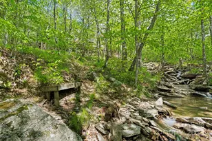 140 Spruce Hollow Rd, Beech Mountain, NC 28604 - Photo 43