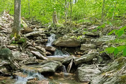 140 Spruce Hollow Road, Beech Mountain, NC 28604 - Photo 3