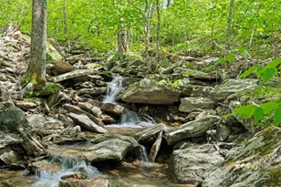 140 Spruce Hollow Rd, Beech Mountain, NC 28604 - Photo 3