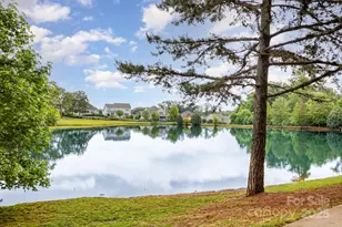 8709 Raven Top Dr, Mint Hill, NC 28227 - Photo 43